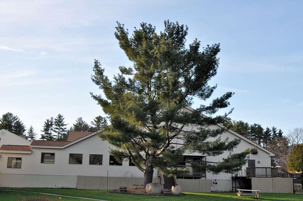 Fox Ridge Resort North Conway Exterior foto